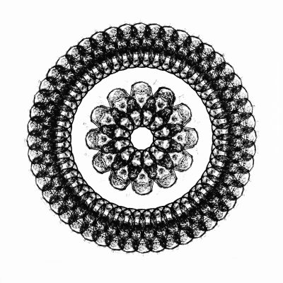 Colorwheel in Black